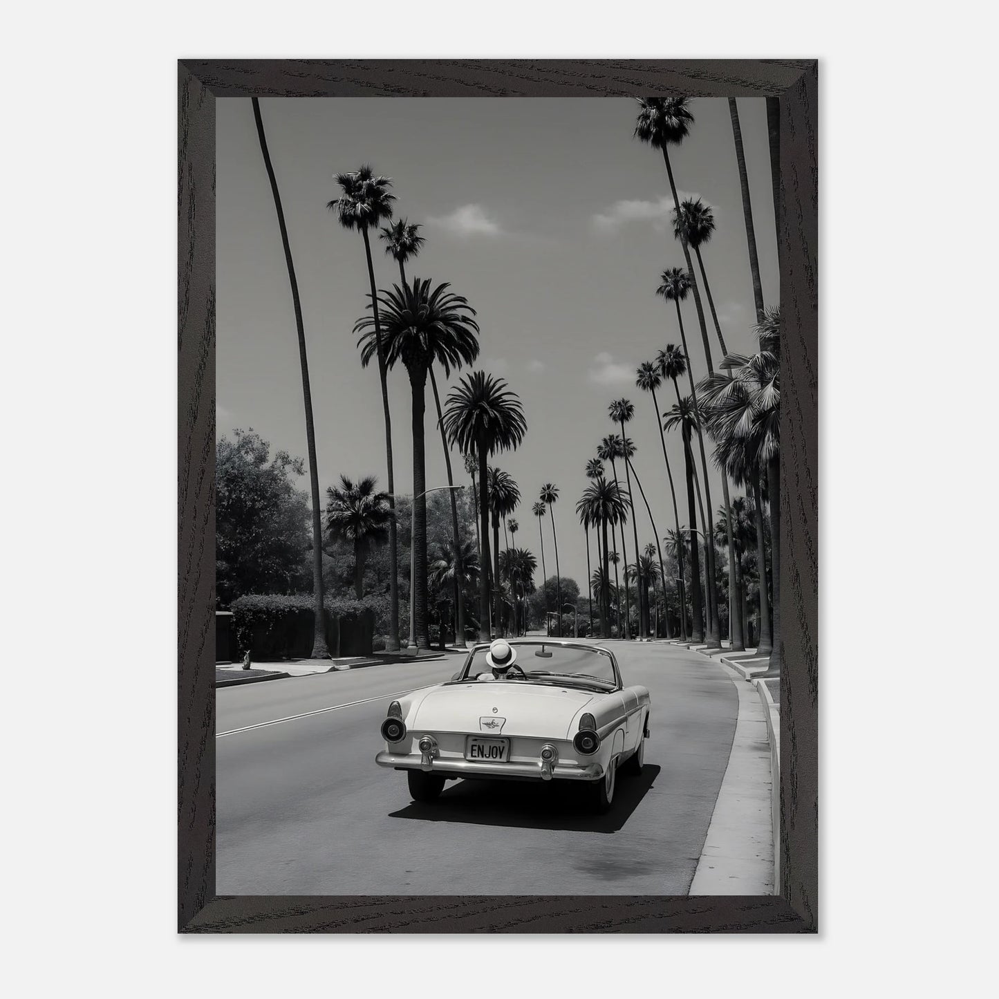 Enjoy LA Mustang
