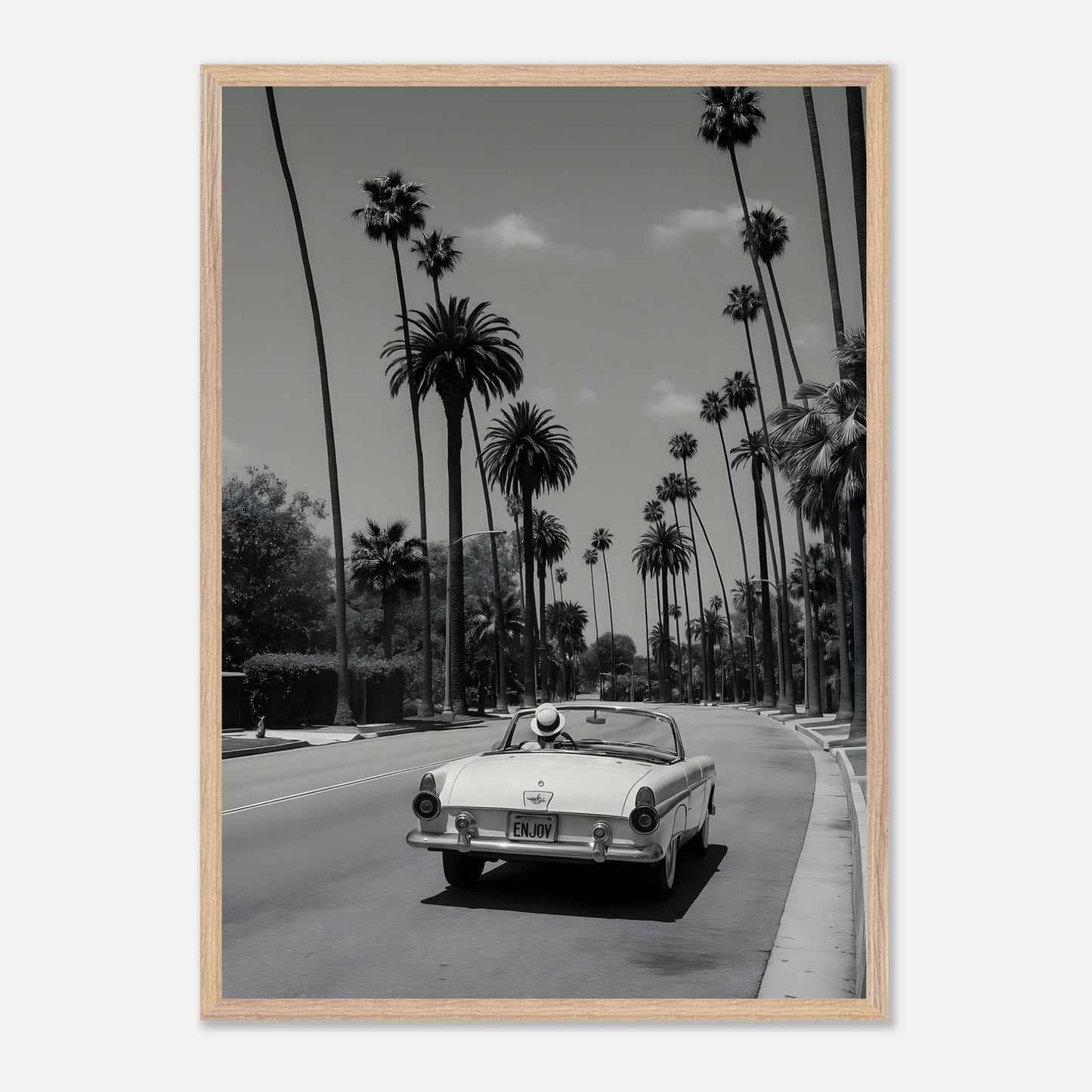 Enjoy LA Mustang