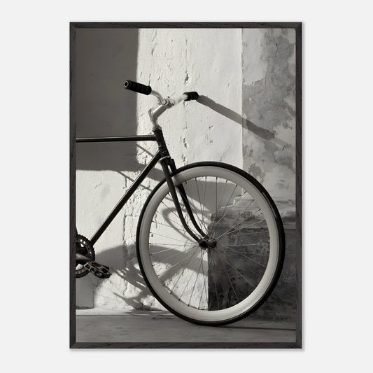 Bici Delantera