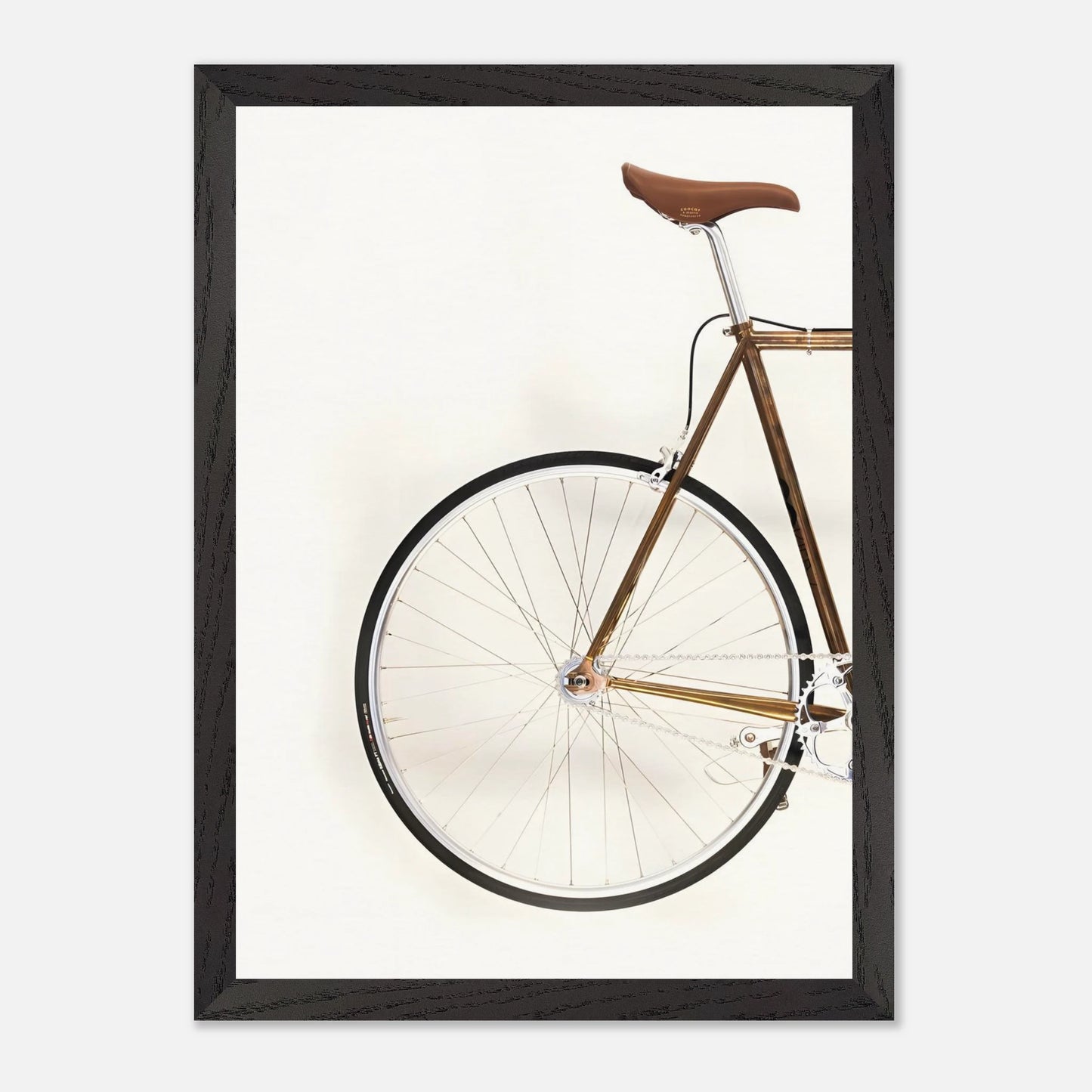Bici Trasera