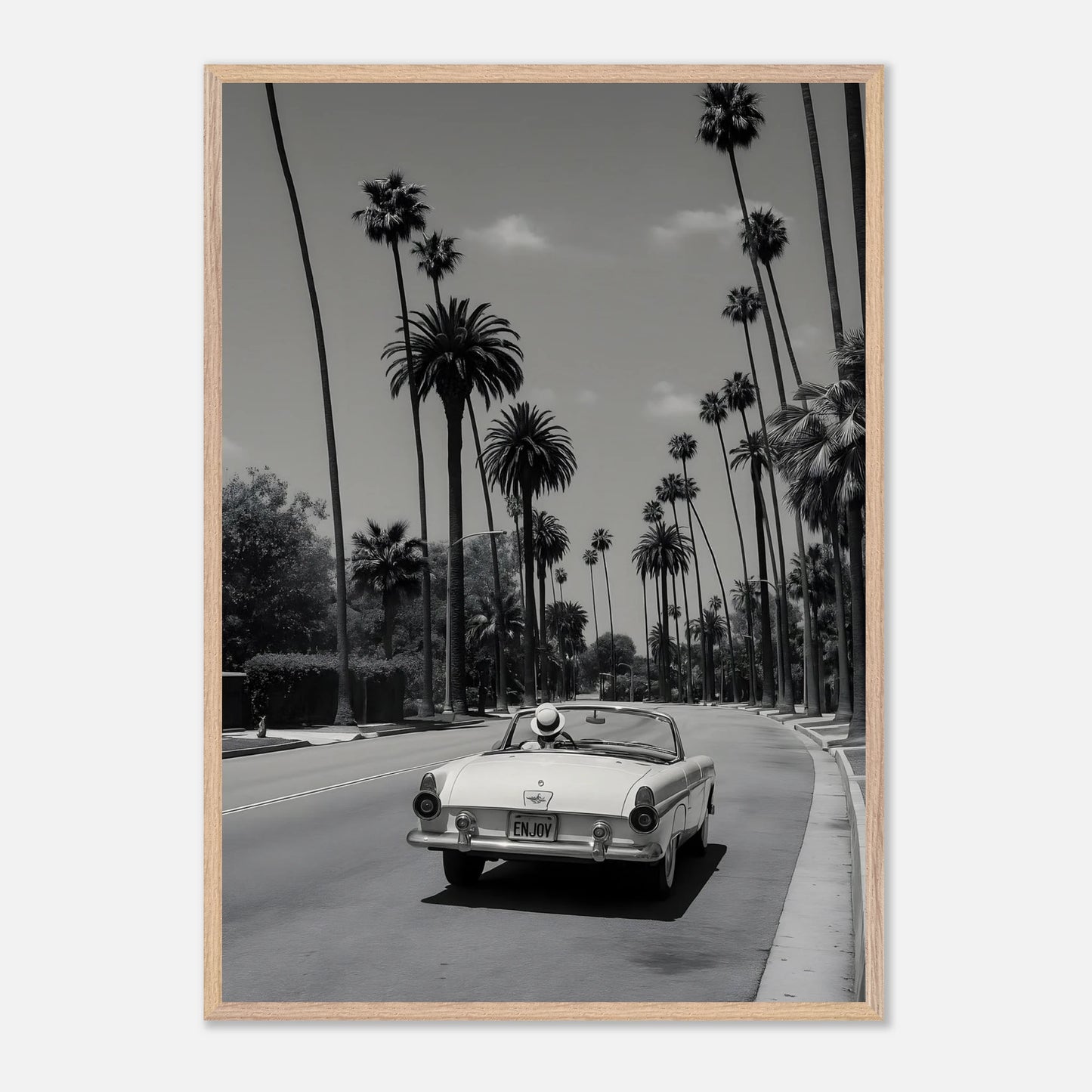 Enjoy LA Mustang