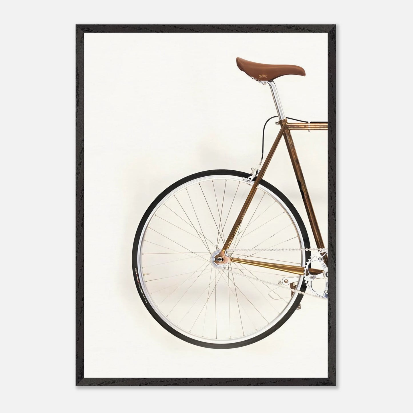 Bici Trasera