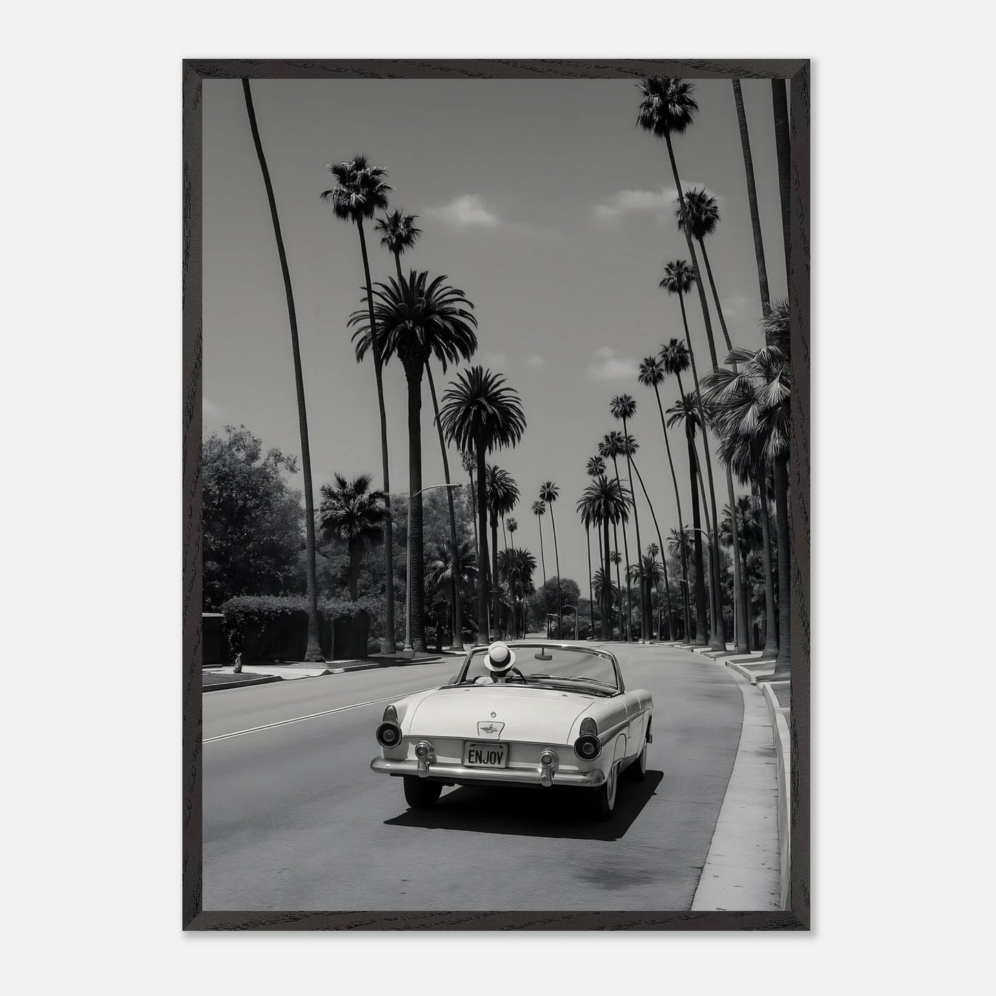Enjoy LA Mustang