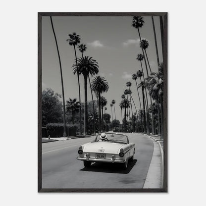 Enjoy LA Mustang
