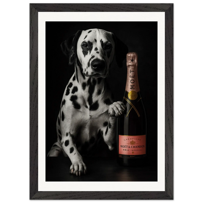 dalmata-champagne