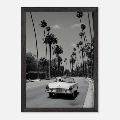 Enjoy LA Mustang