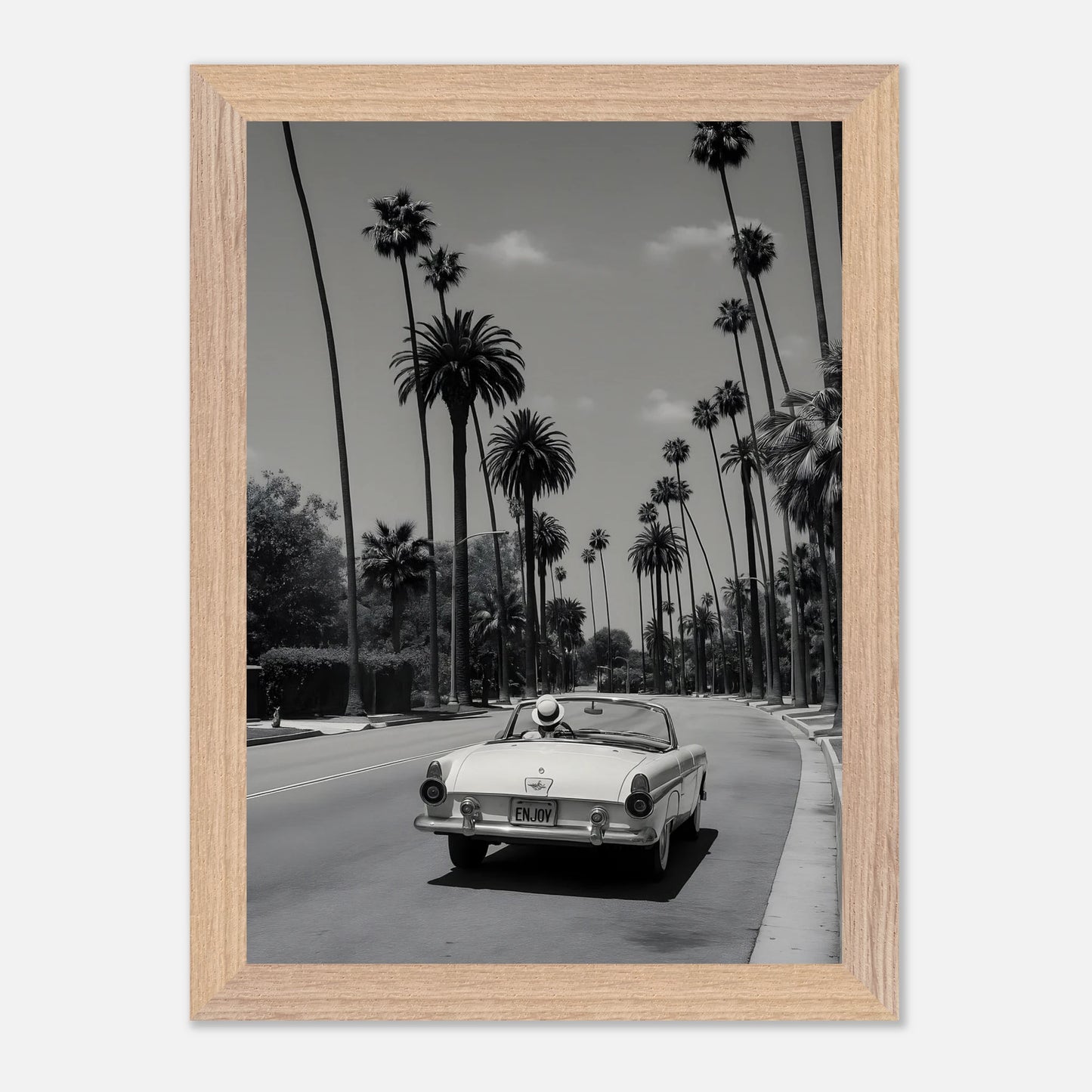 Enjoy LA Mustang