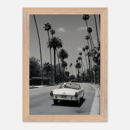 Enjoy LA Mustang