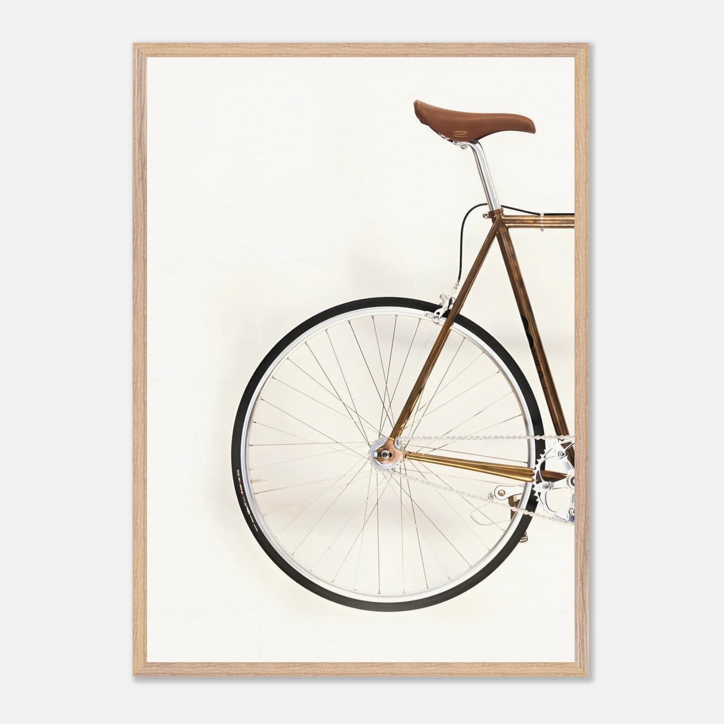 Bici Trasera