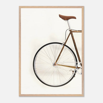 Bici Trasera