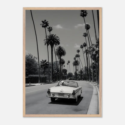 Enjoy LA Mustang