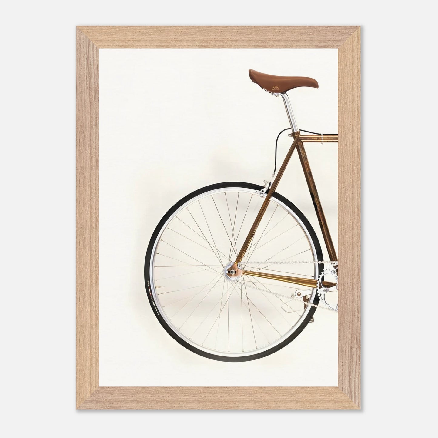 Bici Trasera