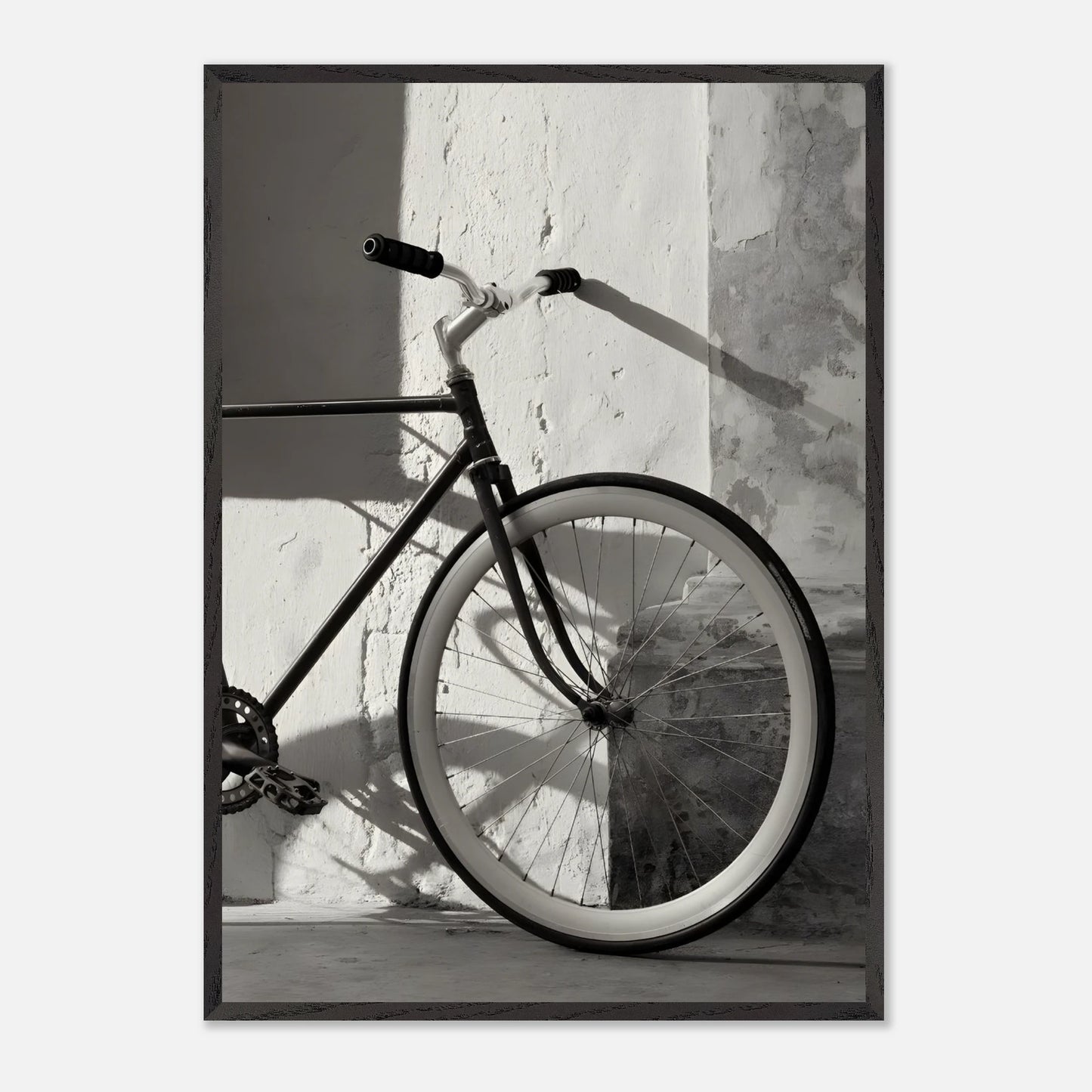 Bici Delantera