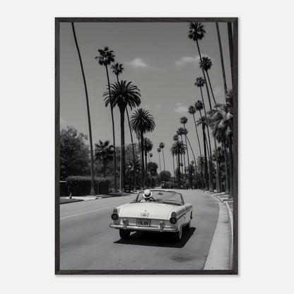 Enjoy LA Mustang
