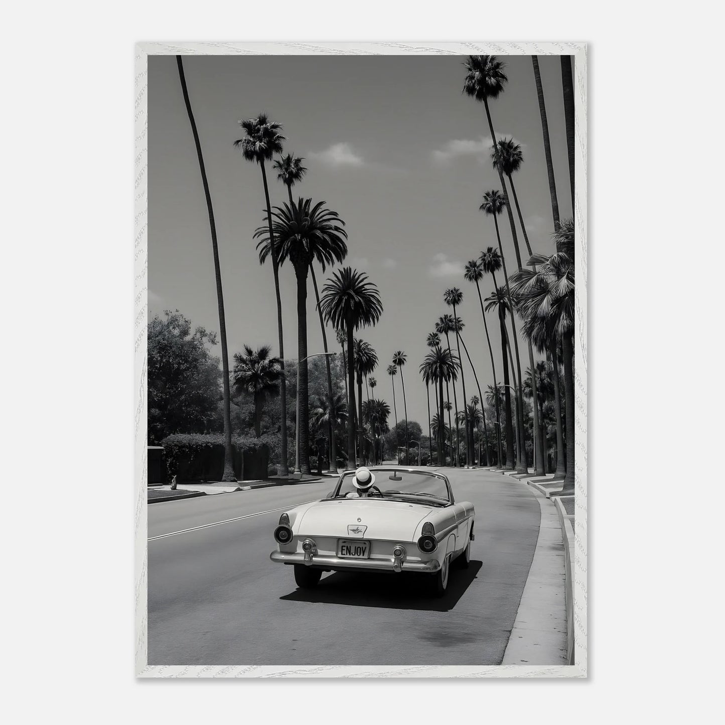Enjoy LA Mustang