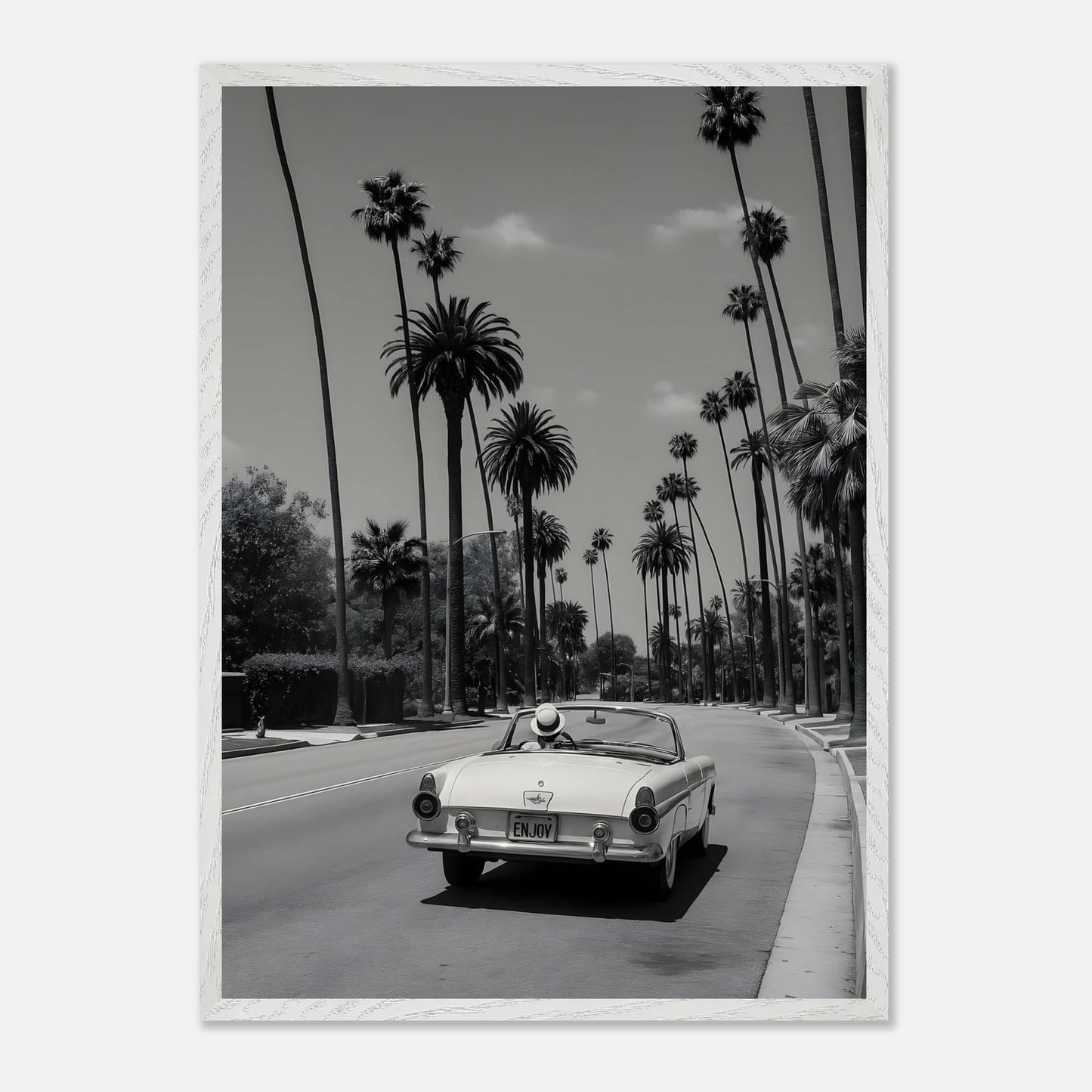 Enjoy LA Mustang