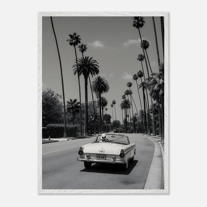 Enjoy LA Mustang