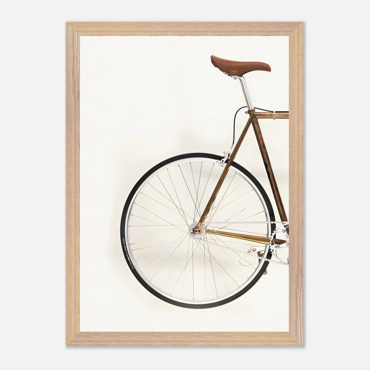 Bici Trasera