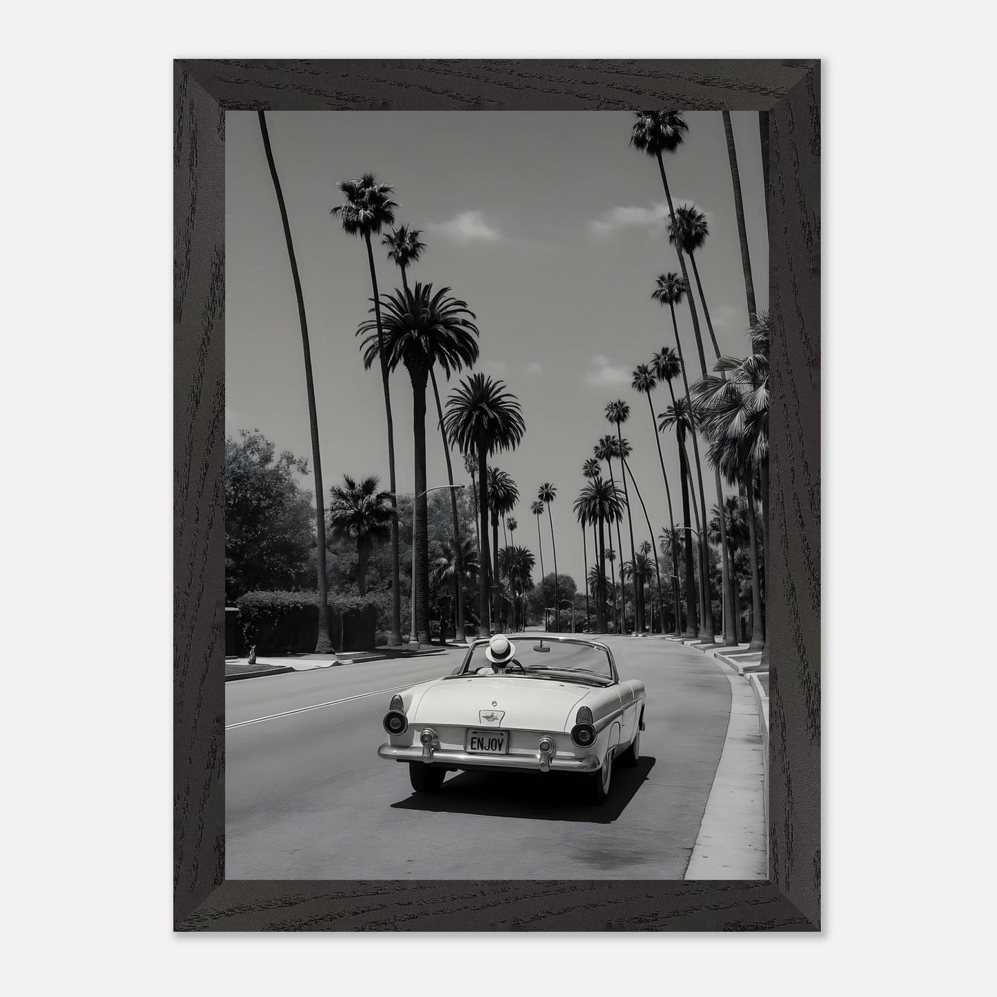 Enjoy LA Mustang