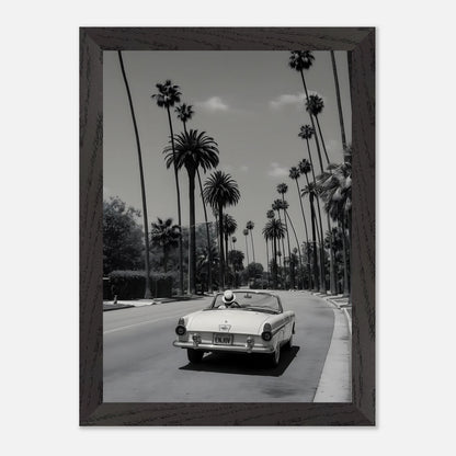Enjoy LA Mustang