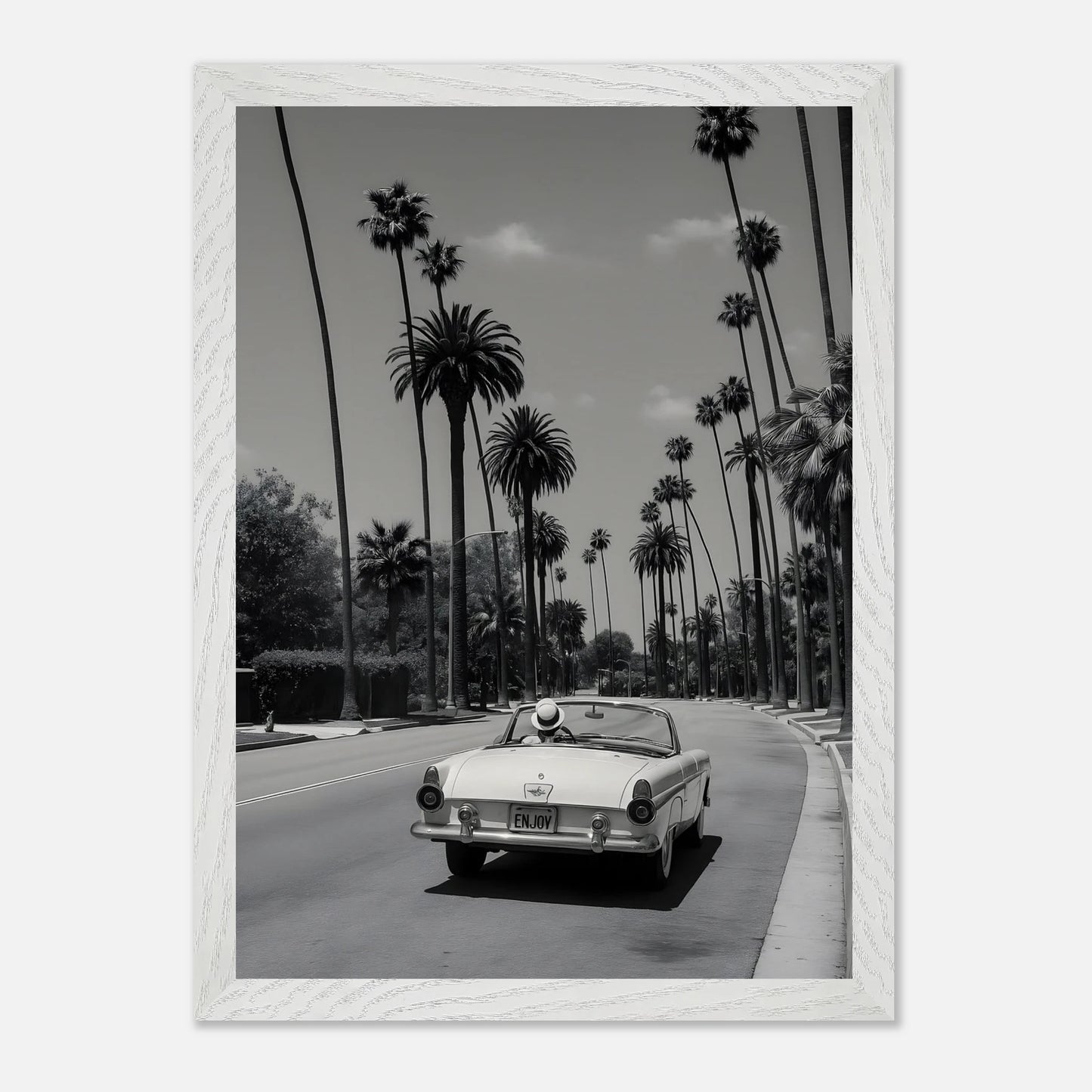 Enjoy LA Mustang
