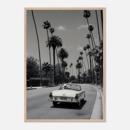 Enjoy LA Mustang