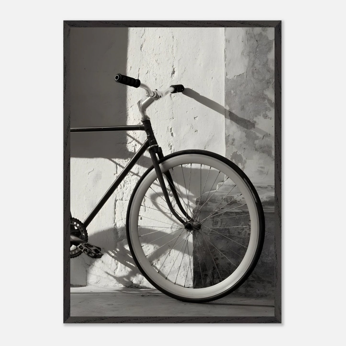 Bici Delantera
