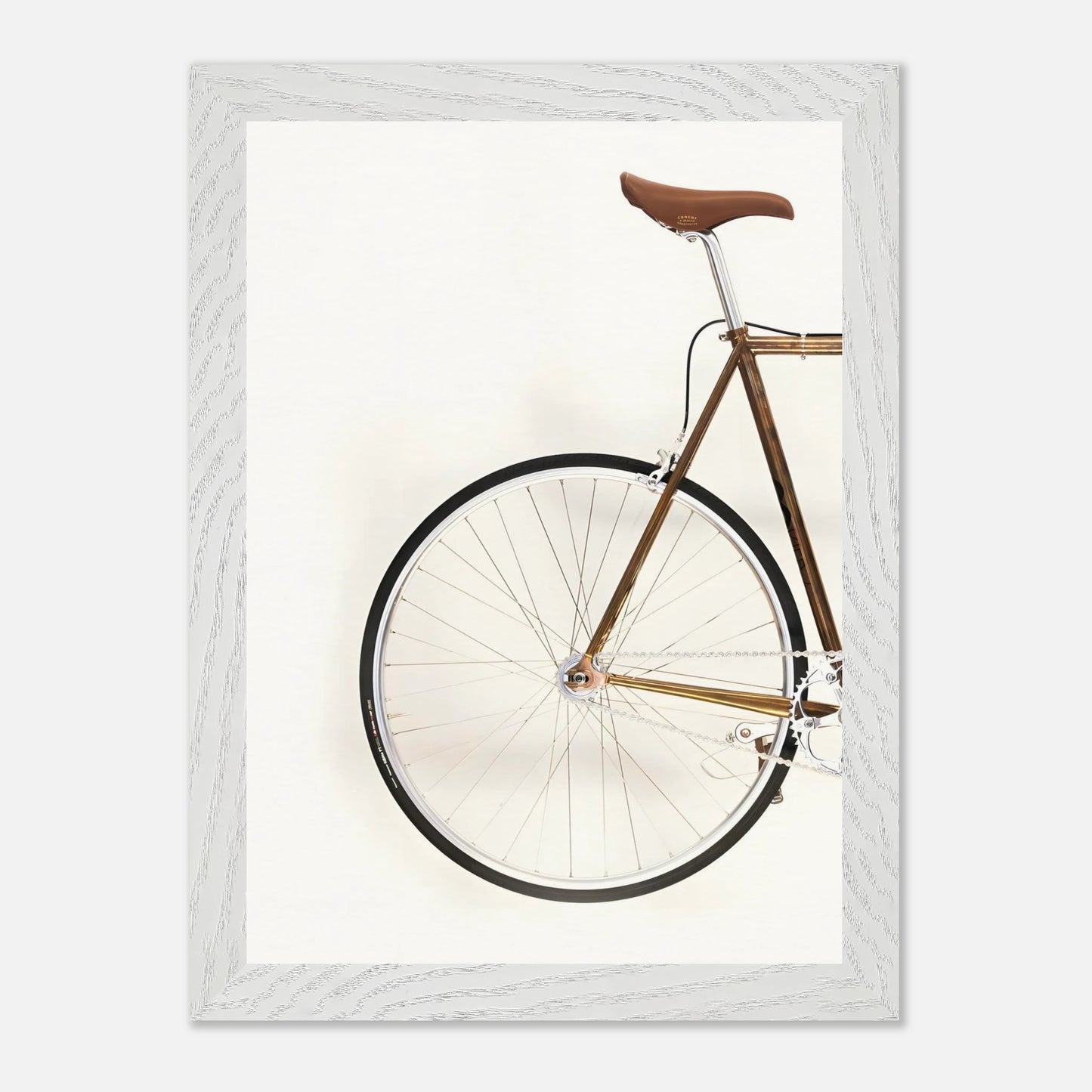Bici Trasera