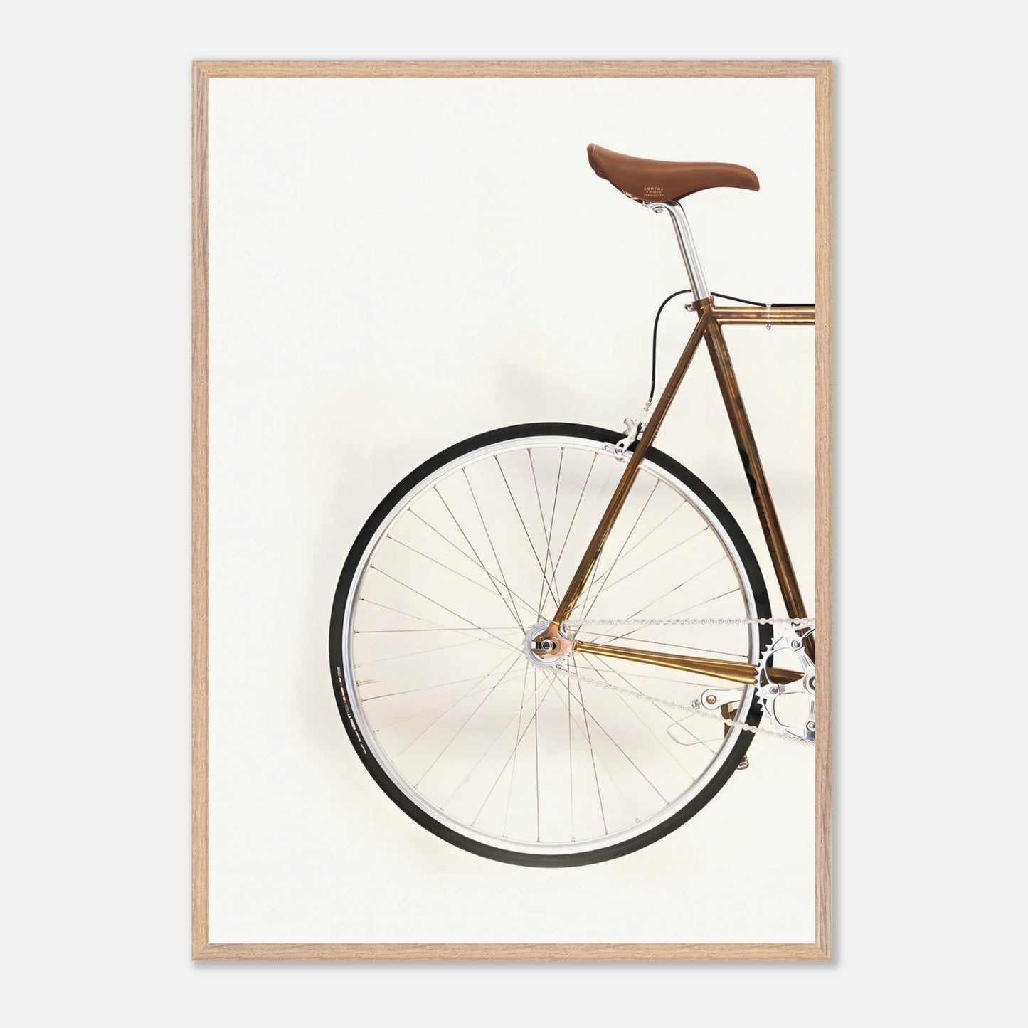 Bici Trasera
