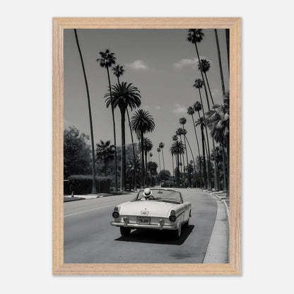 Enjoy LA Mustang